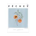 Picture of Peach Fruit Fusion _GroupedProduct_Rectangle_Portrait_Unframed_Print_Only_
