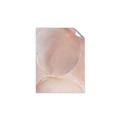 Picture of Peach Palette Bubbles _GroupedProduct_Rectangle_Portrait_Unframed_Print_Only_