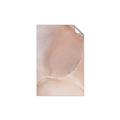 Picture of Peach Palette Bubbles _GroupedProduct_Rectangle_Portrait_Unframed_Print_Only_
