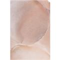 Picture of Peach Palette Bubbles _GroupedProduct_Rectangle_Portrait_Unframed_Print_Only_