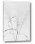 Picture of Whispering Mirage Dried Grass
