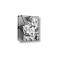 Picture of The Flowers He Gave _GroupedProduct_Rectangle_Portrait_Photography _GroupedProduct_Rectangle_Portrait_Canvas_