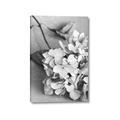 Picture of The Flowers He Gave _GroupedProduct_Rectangle_Portrait_Photography _GroupedProduct_Rectangle_Portrait_Canvas_
