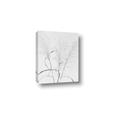 Picture of Whispering Mirage Dried Grass _GroupedProduct_Rectangle_Portrait_Photography _GroupedProduct_Rectangle_Portrait_Canvas_