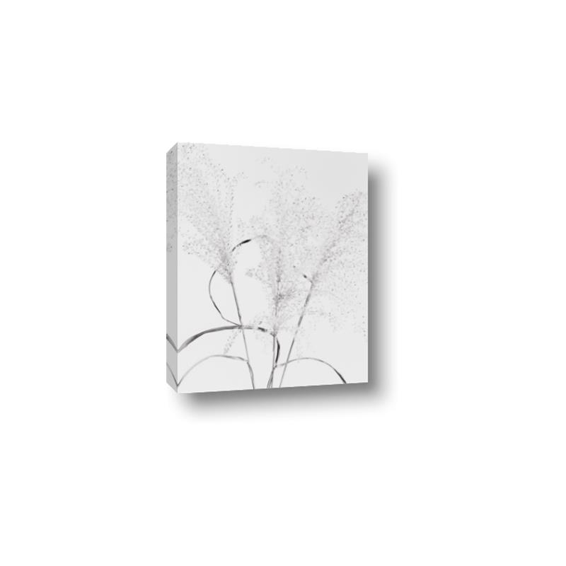 Picture of Whispering Mirage Dried Grass _GroupedProduct_Rectangle_Portrait_Photography _GroupedProduct_Rectangle_Portrait_Canvas_