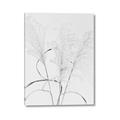 Picture of Whispering Mirage Dried Grass _GroupedProduct_Rectangle_Portrait_Photography _GroupedProduct_Rectangle_Portrait_Canvas_