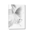 Picture of White Floral Hues _GroupedProduct_Rectangle_Portrait_Photography _GroupedProduct_Rectangle_Portrait_Canvas_