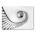 Picture of La Escalera _GroupedProduct_Rectangle_Landscape_Photography _GroupedProduct_Rectangle_Landscape_Canvas_