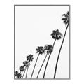 Picture of Cali Cathedrals IV _GroupedProduct_Rectangle_Portrait_Photography _GroupedProduct_Rectangle_Portrait_Canvas_Framed_
