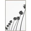 Picture of Cali Cathedrals IV _GroupedProduct_Rectangle_Portrait_Photography _GroupedProduct_Rectangle_Portrait_Canvas_Framed_