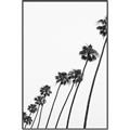 Picture of Cali Cathedrals IV _GroupedProduct_Rectangle_Portrait_Photography _GroupedProduct_Rectangle_Portrait_Canvas_Framed_