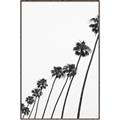 Picture of Cali Cathedrals IV _GroupedProduct_Rectangle_Portrait_Photography _GroupedProduct_Rectangle_Portrait_Canvas_Framed_