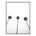 Picture of Cali Cathedrals III _GroupedProduct_Rectangle_Portrait_Photography _GroupedProduct_Rectangle_Portrait_Canvas_Framed_