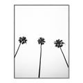 Picture of Cali Cathedrals III _GroupedProduct_Rectangle_Portrait_Photography _GroupedProduct_Rectangle_Portrait_Canvas_Framed_