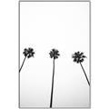 Picture of Cali Cathedrals III _GroupedProduct_Rectangle_Portrait_Photography _GroupedProduct_Rectangle_Portrait_Canvas_Framed_