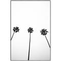 Picture of Cali Cathedrals III _GroupedProduct_Rectangle_Portrait_Photography _GroupedProduct_Rectangle_Portrait_Canvas_Framed_