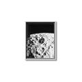 Picture of Moon Landing _GroupedProduct_Rectangle_Portrait_Photography _GroupedProduct_Rectangle_Portrait_Canvas_Framed_