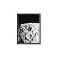 Picture of Moon Landing _GroupedProduct_Rectangle_Portrait_Photography _GroupedProduct_Rectangle_Portrait_Canvas_Framed_
