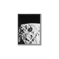 Picture of Moon Landing _GroupedProduct_Rectangle_Portrait_Photography _GroupedProduct_Rectangle_Portrait_Canvas_Framed_