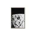 Picture of Moon Landing _GroupedProduct_Rectangle_Portrait_Photography _GroupedProduct_Rectangle_Portrait_Canvas_Framed_