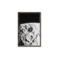 Picture of Moon Landing _GroupedProduct_Rectangle_Portrait_Photography _GroupedProduct_Rectangle_Portrait_Canvas_Framed_