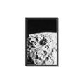 Picture of Moon Landing _GroupedProduct_Rectangle_Portrait_Photography _GroupedProduct_Rectangle_Portrait_Canvas_Framed_