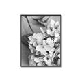 Picture of The Flowers He Gave _GroupedProduct_Rectangle_Portrait_Photography _GroupedProduct_Rectangle_Portrait_Canvas_Framed_