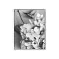 Picture of The Flowers He Gave _GroupedProduct_Rectangle_Portrait_Photography _GroupedProduct_Rectangle_Portrait_Canvas_Framed_