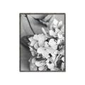 Picture of The Flowers He Gave _GroupedProduct_Rectangle_Portrait_Photography _GroupedProduct_Rectangle_Portrait_Canvas_Framed_