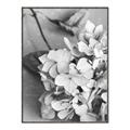 Picture of The Flowers He Gave _GroupedProduct_Rectangle_Portrait_Photography _GroupedProduct_Rectangle_Portrait_Canvas_Framed_