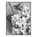 Picture of The Flowers He Gave _GroupedProduct_Rectangle_Portrait_Photography _GroupedProduct_Rectangle_Portrait_Canvas_Framed_