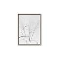 Picture of Whispering Mirage Dried Grass _GroupedProduct_Rectangle_Portrait_Photography _GroupedProduct_Rectangle_Portrait_Canvas_Framed_