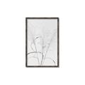 Picture of Whispering Mirage Dried Grass _GroupedProduct_Rectangle_Portrait_Photography _GroupedProduct_Rectangle_Portrait_Canvas_Framed_