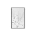 Picture of Whispering Mirage Dried Grass _GroupedProduct_Rectangle_Portrait_Photography _GroupedProduct_Rectangle_Portrait_Canvas_Framed_