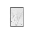 Picture of Whispering Mirage Dried Grass _GroupedProduct_Rectangle_Portrait_Photography _GroupedProduct_Rectangle_Portrait_Canvas_Framed_