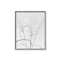 Picture of Whispering Mirage Dried Grass _GroupedProduct_Rectangle_Portrait_Photography _GroupedProduct_Rectangle_Portrait_Canvas_Framed_