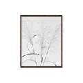 Picture of Whispering Mirage Dried Grass _GroupedProduct_Rectangle_Portrait_Photography _GroupedProduct_Rectangle_Portrait_Canvas_Framed_