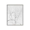 Picture of Whispering Mirage Dried Grass _GroupedProduct_Rectangle_Portrait_Photography _GroupedProduct_Rectangle_Portrait_Canvas_Framed_