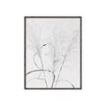Picture of Whispering Mirage Dried Grass _GroupedProduct_Rectangle_Portrait_Photography _GroupedProduct_Rectangle_Portrait_Canvas_Framed_