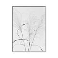 Picture of Whispering Mirage Dried Grass _GroupedProduct_Rectangle_Portrait_Photography _GroupedProduct_Rectangle_Portrait_Canvas_Framed_