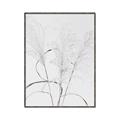 Picture of Whispering Mirage Dried Grass _GroupedProduct_Rectangle_Portrait_Photography _GroupedProduct_Rectangle_Portrait_Canvas_Framed_