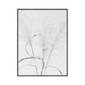 Picture of Whispering Mirage Dried Grass _GroupedProduct_Rectangle_Portrait_Photography _GroupedProduct_Rectangle_Portrait_Canvas_Framed_