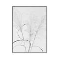 Picture of Whispering Mirage Dried Grass _GroupedProduct_Rectangle_Portrait_Photography _GroupedProduct_Rectangle_Portrait_Canvas_Framed_