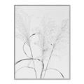 Picture of Whispering Mirage Dried Grass _GroupedProduct_Rectangle_Portrait_Photography _GroupedProduct_Rectangle_Portrait_Canvas_Framed_