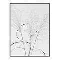 Picture of Whispering Mirage Dried Grass _GroupedProduct_Rectangle_Portrait_Photography _GroupedProduct_Rectangle_Portrait_Canvas_Framed_