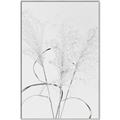 Picture of Whispering Mirage Dried Grass _GroupedProduct_Rectangle_Portrait_Photography _GroupedProduct_Rectangle_Portrait_Canvas_Framed_