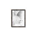Picture of White Floral Hues _GroupedProduct_Rectangle_Portrait_Photography _GroupedProduct_Rectangle_Portrait_Canvas_Framed_