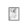 Picture of White Floral Hues _GroupedProduct_Rectangle_Portrait_Photography _GroupedProduct_Rectangle_Portrait_Canvas_Framed_