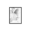 Picture of White Floral Hues _GroupedProduct_Rectangle_Portrait_Photography _GroupedProduct_Rectangle_Portrait_Canvas_Framed_