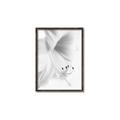 Picture of White Floral Hues _GroupedProduct_Rectangle_Portrait_Photography _GroupedProduct_Rectangle_Portrait_Canvas_Framed_